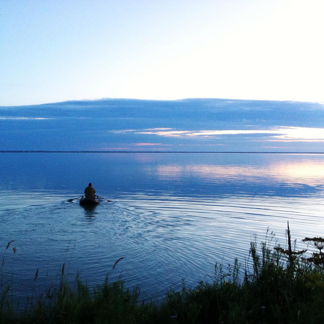 Озеро в сибири 3. Озеро Чаны. Оз Чаны Новосибирская область. Озеро большие Чаны Новосибирская область. Озеро Сартлан.