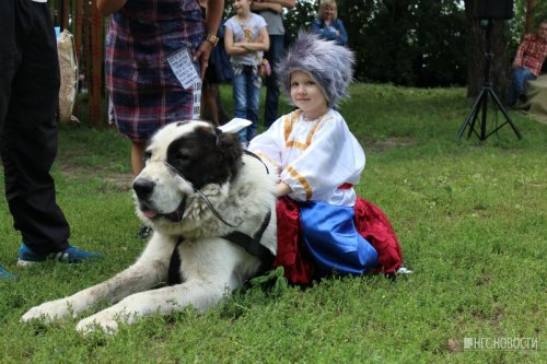 Собаки в костюмах льва, мухи и вампира собрали 100 тысяч для больного омского мальчика - «Новости Омска»