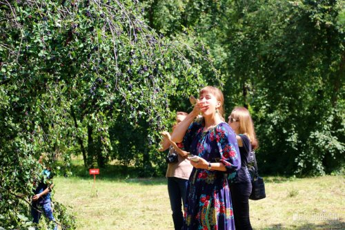 Сад сумасшедшей мечты: отдыхаем под Омском среди редких деревьев и шаманских трав - «Новости Омска»