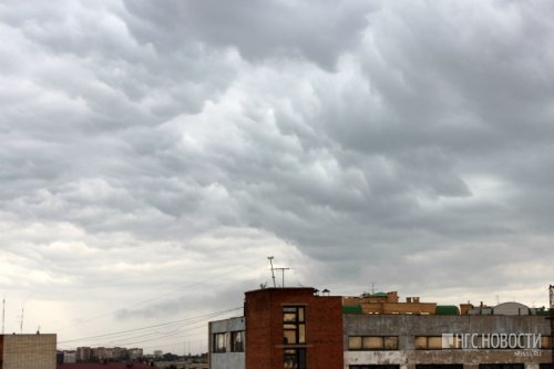 Запад Омской области начало заливать дождём: в городе объявили штормовое предупреждение - «Новости Омска»