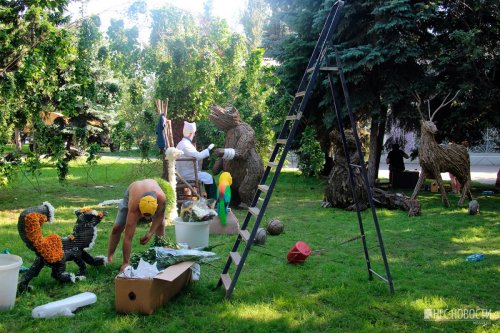За 18 часов до: подглядываем за тем, как готовят к открытию омскую выставку «Флора» - «Новости Омска»