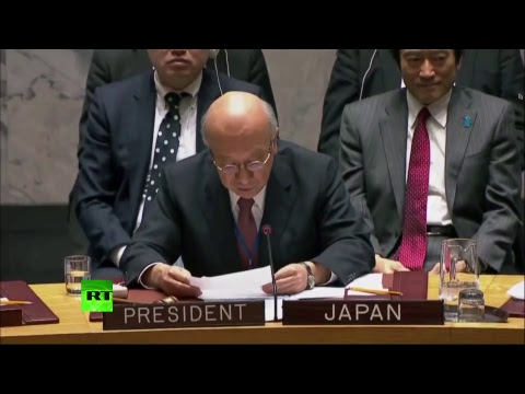 Заседание Совбеза ООН по Северной Корее  - (ВИДЕО)