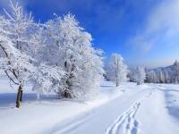 В Украину возвращается зимняя погода с морозами и снегом - Газета «ФАКТЫ