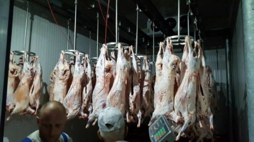 Киргизия возобновила поставки мяса в Иран - «Ближний Восток»