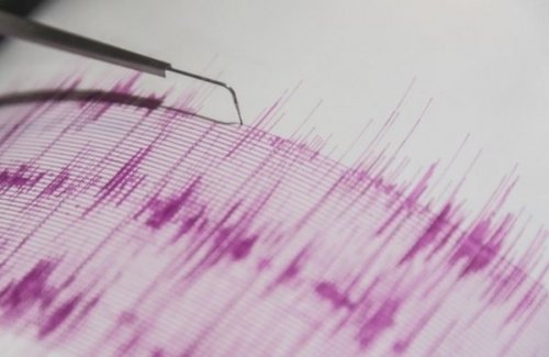 Мощное землетрясение произошло в Мексике: сведений о жертвах нет - «Латинская Америка»