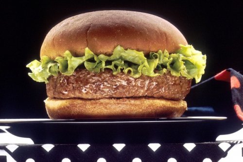 Безумный пес жадно отобрал гамбургер у своей хозяйки - «Интернет»