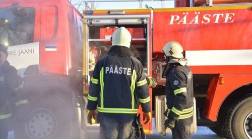 В Эстонии уволили 12 русских пожарных за незнание эстонского языка - «Общество»