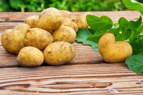 Россельхознадзор может запретить поставки картофеля из Белоруссии - «Белоруссия»