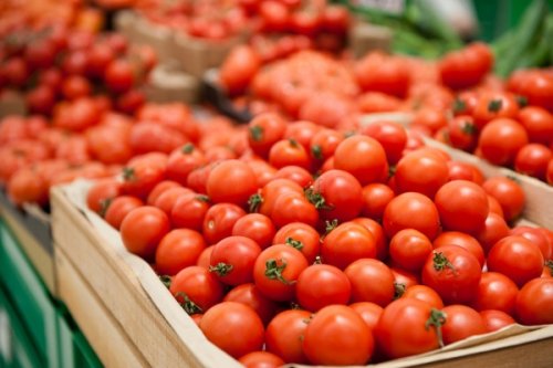 Турция восстановит объем поставок томатов в Россию: отмена ограничений - «Европа»