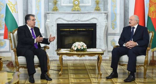 Лукашенко займется выращиванием таджикской черешни в Белоруссии - «Белоруссия»
