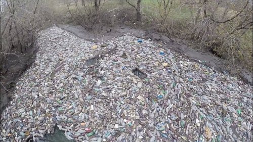 «Мусорный» остров: в Барнауле ищут способ очистить реку от тысяч бутылок  - (ВИДЕО)
