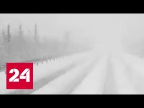 "Погода 24": причуды капризного июня - Россия 24  - (ВИДЕО)