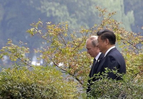Путин рассказал о выпитой с Си Цзиньпином водке на свой день рождения - «Азия»