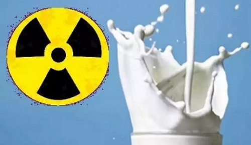 Британские ученые: Украинцам угрожает радиоактивное молоко - «Украина»
