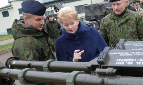 Грибаускайте предложила оснастить подлодки НАТО комплексами Patriot - «США»