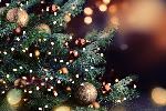 В Италии вновь была похищена рождественская ель