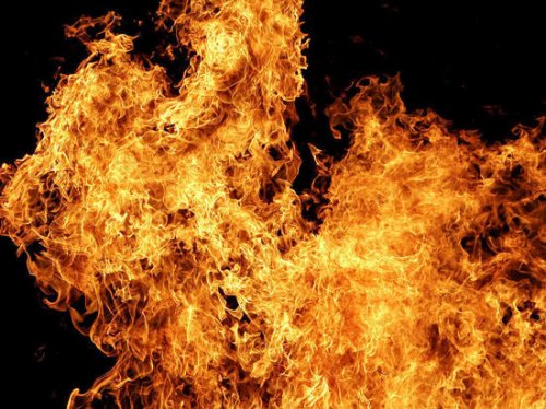 За прошедшую неделю на пожарах в Тверской области погибло 5 человек - «Новости Дня»