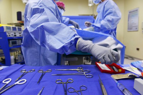 Украина с января прекратит все операции по трансплантации