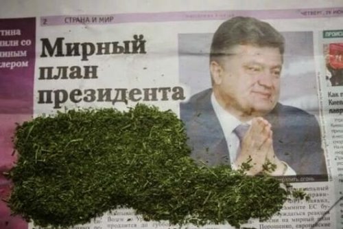 В Татарстане двух граждан Украины будут судить за крупную партию синтетики - «Украина»