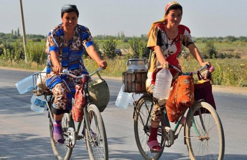 Гендерное равенство: из стран Центральной Азии лидирует Таджикистан - «Экономика»