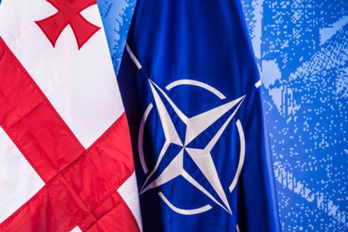 В 2019 году будет серьезная активность по интеграции с НАТО — МИД Грузии - «Большой Кавказ»