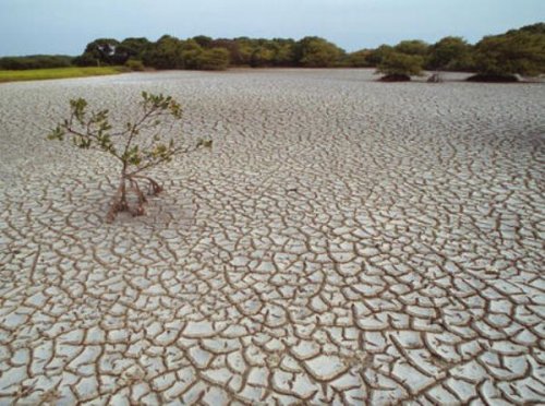 США через 50 лет могут столкнуться с нехваткой пресной воды — исследование - «Новости Дня»