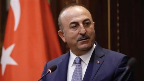 Турция обвинила неназванные исламские страны в «трусости и слабости» - «Общество»